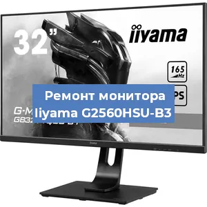 Замена экрана на мониторе Iiyama G2560HSU-B3 в Екатеринбурге
